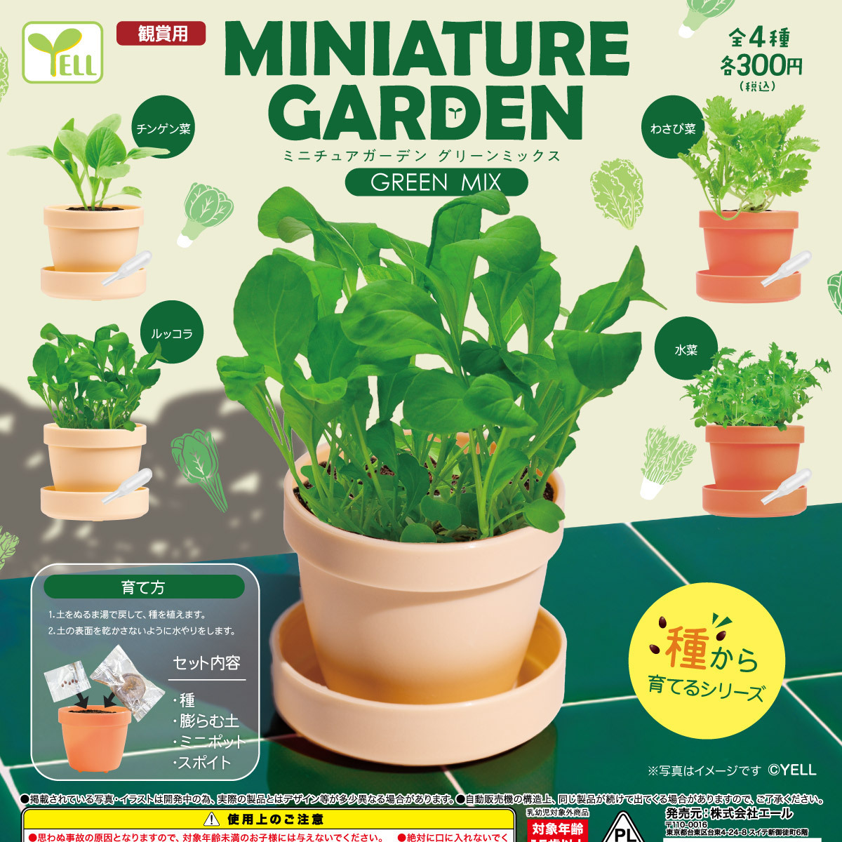 画像1: ミニチュアガーデン－グリーンミックス－（７月）【◆３００円カプセル　４０個入り　エール】＋正規台紙