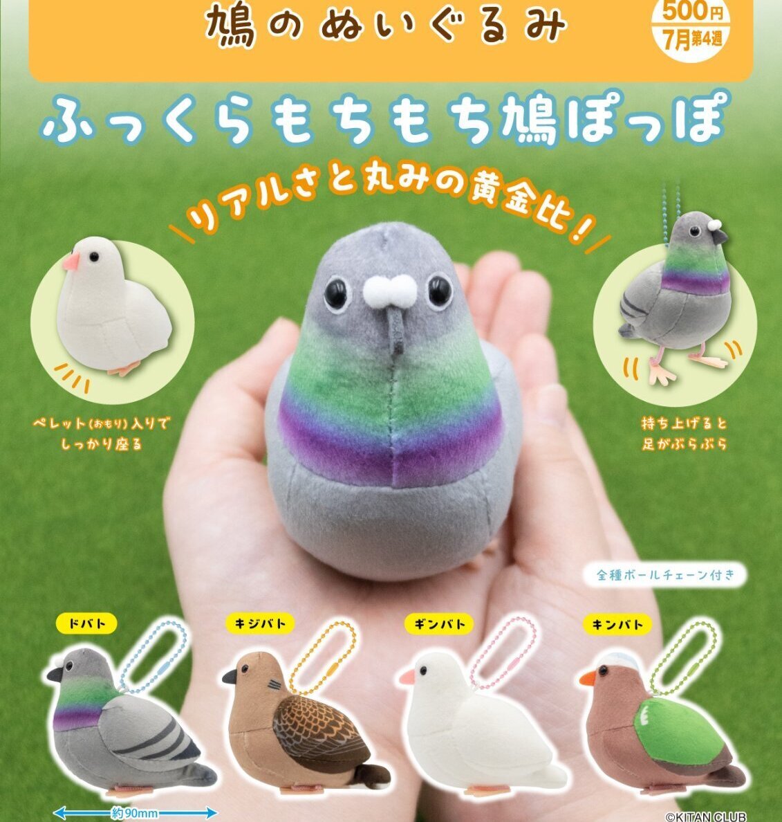 画像1: 鳩のぬいぐるみ（７月）【◆５００円カプセル　２０個入り　奇譚クラブ】＋正規台紙