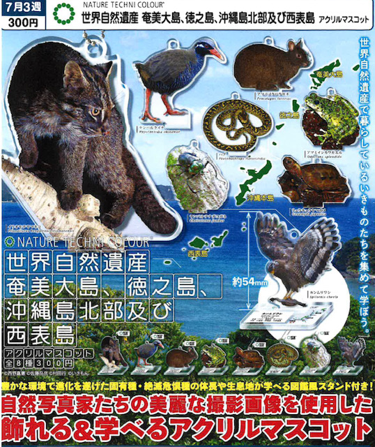 画像1: NTC 世界自然遺産 奄美大島、徳之島、沖縄島北部及び西表島 アクリルマスコット（再販）（７月）【◆３００円カプセル　４０個入り　いきもん】＋正規台紙