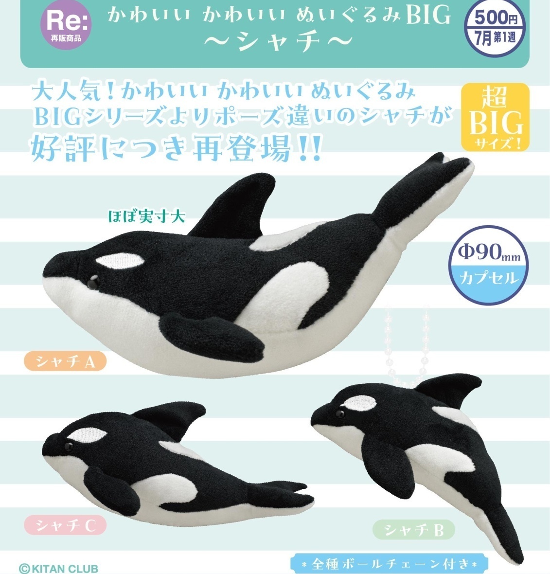 画像1: かわいいかわいい ぬいぐるみ BIG－シャチ－（再販）（７月）【◆５００円カプセル　２０個入り　奇譚クラブ】＋正規台紙