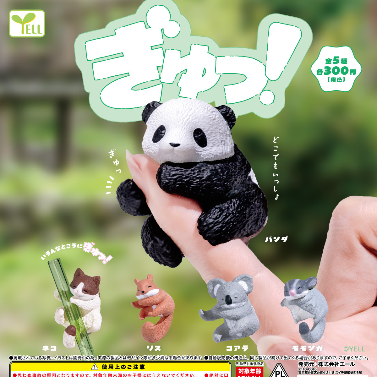 画像1: ぎゅっ！（８月）【□３００円カプセル　４０個入り　エール】＋正規台紙