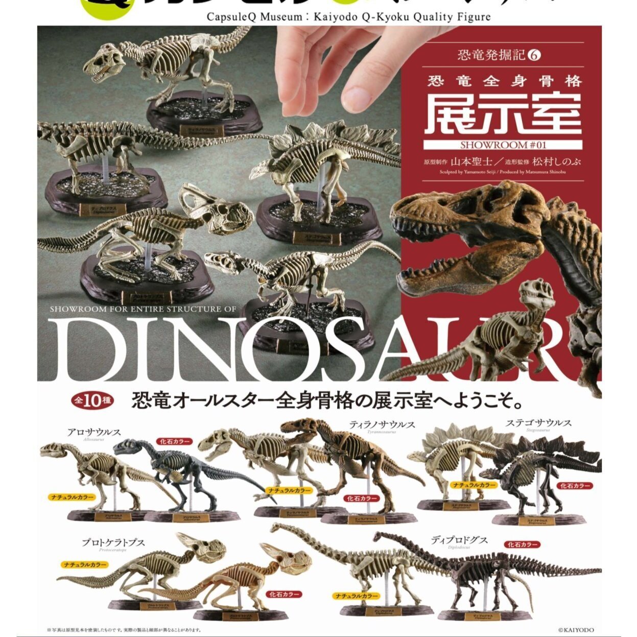 画像1: 恐竜発掘記6 恐竜全身骨格展示室（８月）【□５００円カプセル　２０個入り　海洋堂】＋正規台紙