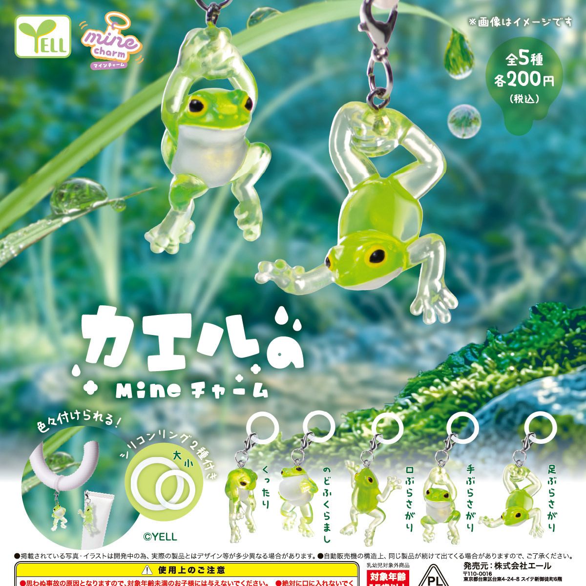 画像1: カエルのｍｉｎｅチャーム（９月）【■２００円カプセル　５０個入り　エール】＋正規台紙