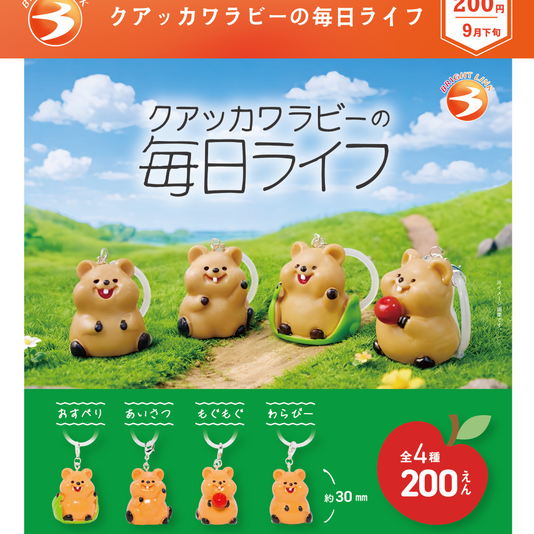 画像1: クアッカワラビーの毎日ライフ（９月）【■２００円カプセル　５０個入り　ブライトリンク】＋正規台紙