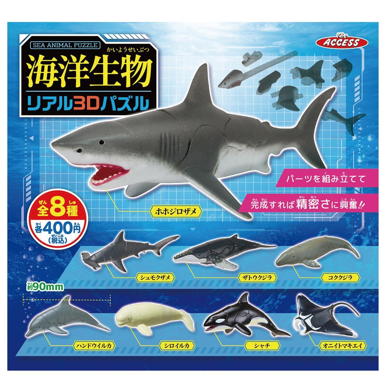画像1: 海洋生物リアル3Dパズル（９月）【■４００円カプセル　３０個入り　アクセス】＋正規台紙
