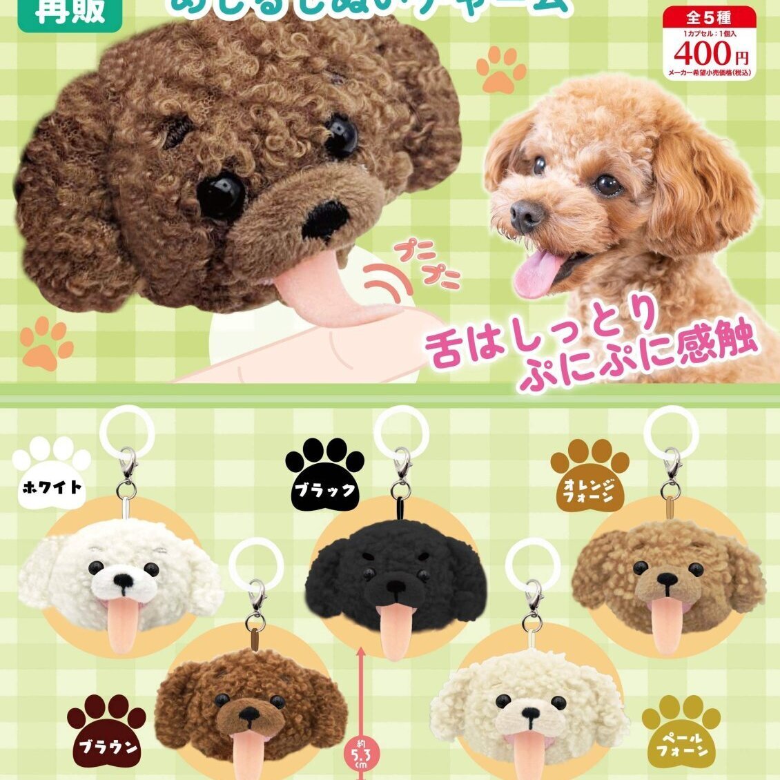 画像1: ぺろりんトイプードルめじるしぬいチャーム（再販）（１０月）【△４００円カプセル　３０個入り　リアンＱ】＋正規台紙