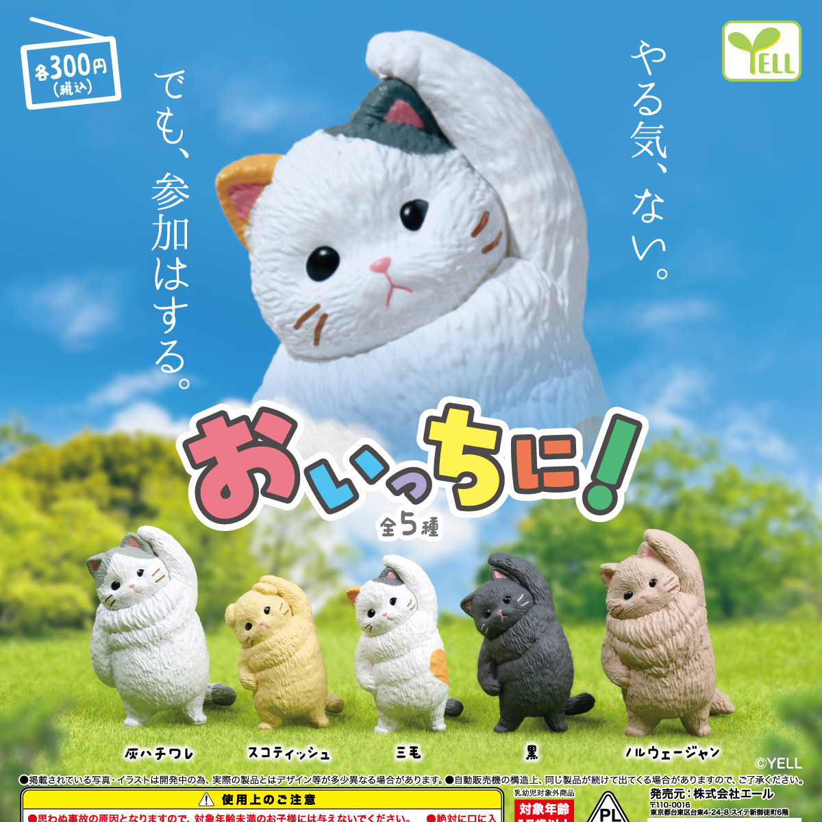 画像1: おいっちに！（１０月）【△３００円カプセル　４０個入り　エール】＋正規台紙