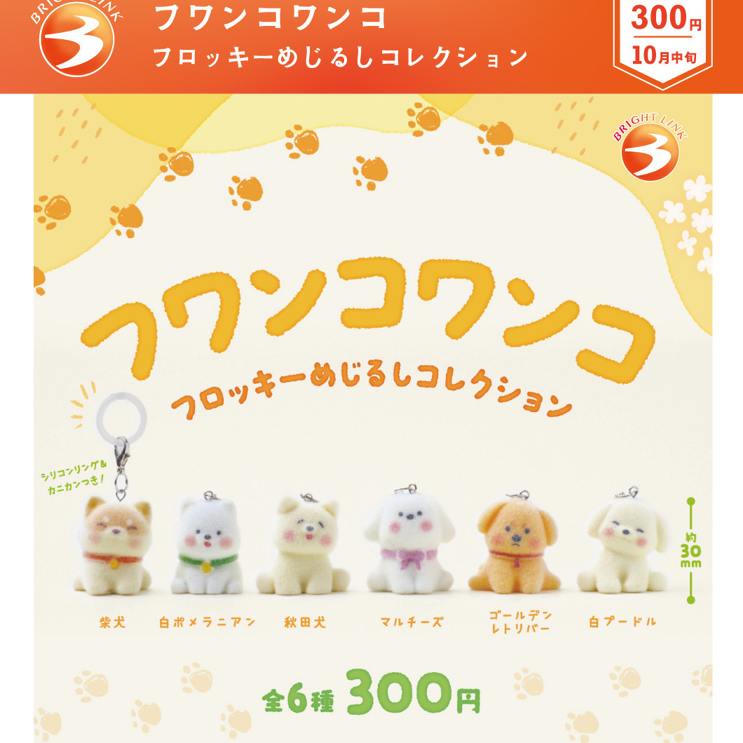 画像1: フワンコワンコ フロッキーめじるしコレクション（１０月）【△３００円カプセル　４０個入り　ブライトリンク】＋正規台紙