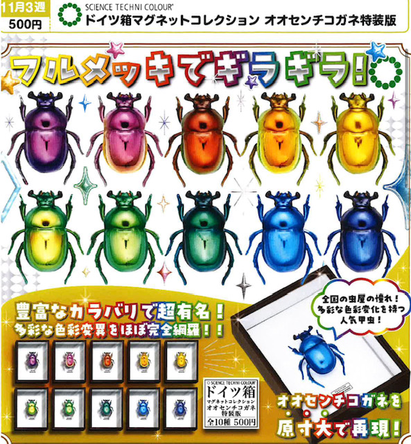 画像1: STC ドイツ箱マグネットコレクション オオセンチコガネ特装版（１１月）【▲５００円カプセル　２０個入り　いきもん】＋正規台紙