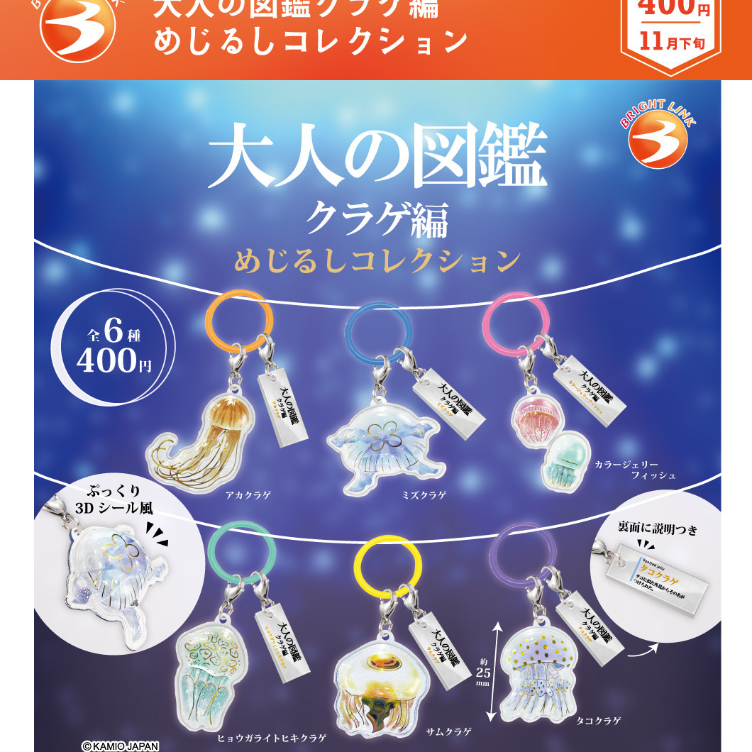 画像1: 大人の図鑑クラゲ編　めじるしコレクション（１１月）【▲４００円カプセル　３０個入り　ブライトリンク】＋正規台紙