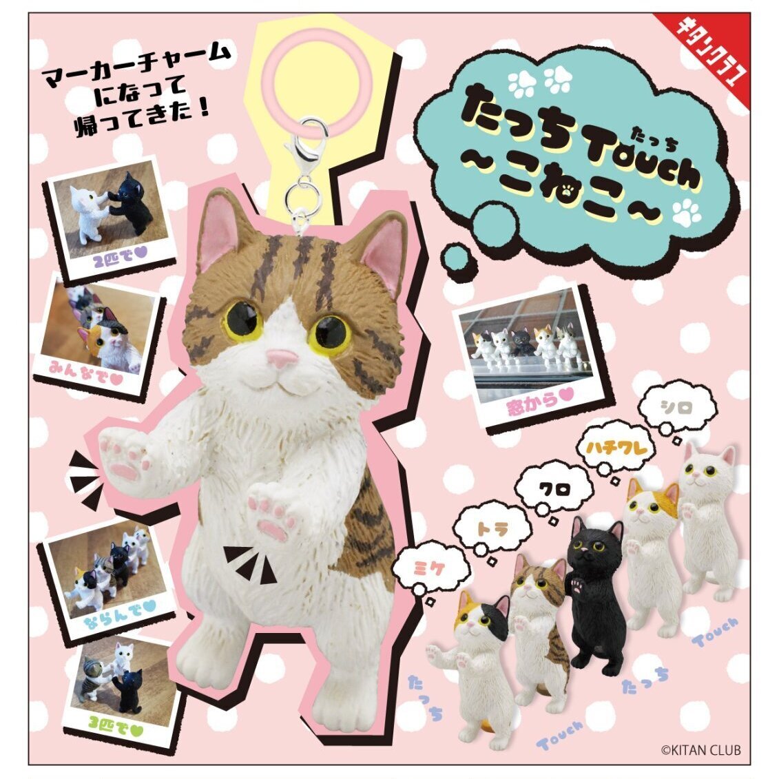 画像1: たっち Touch（こねこ）マーカーチャーム（１１月）【▲３００円カプセル　４０個入り　奇譚クラブ】＋正規台紙