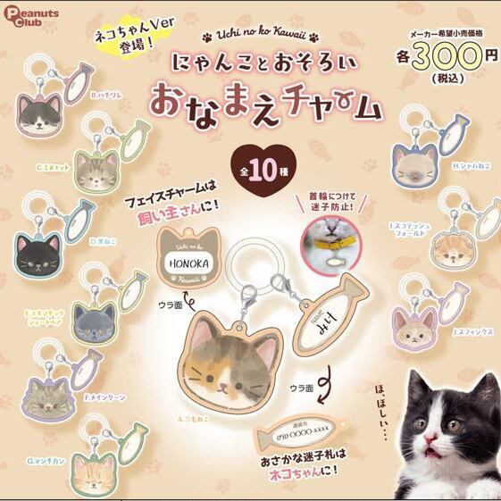 画像1: にゃんことおそろいおなまえチャーム Ver.2（１１月）【▲３００円カプセル　４０個入り　ピーナッツ】＋正規台紙