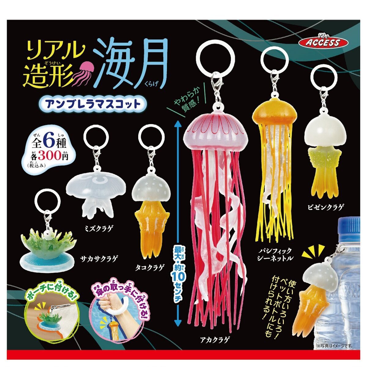 画像1: リアル造形海月 アンブレラマスコット（１１月）【▲３００円カプセル　４０個入り　ザ・アクセス】＋正規台紙