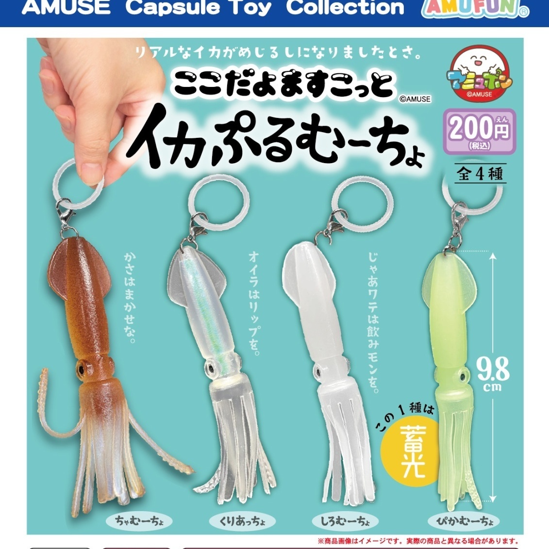 画像1: ここだよますこっとイカぷるむーちょ（１２月）【▽２００円カプセル　５０個入り　アミューズ】＋正規台紙