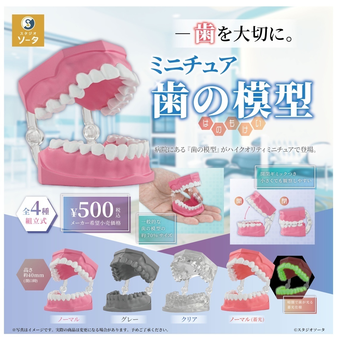 画像1: ミニチュア歯の模型（１２月）【▽５００円カプセル　２０個入り　SO-TA】＋正規台紙