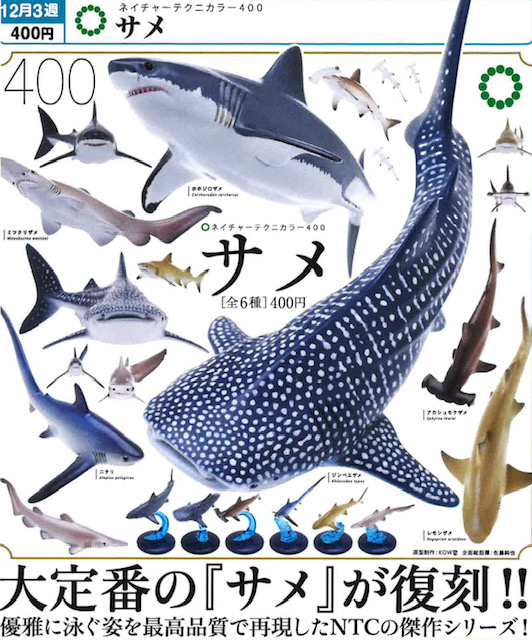 画像1: NTC400 サメ（再販）（１２月）【▽４００円カプセル　３０個入り　いきもん】＋正規台紙