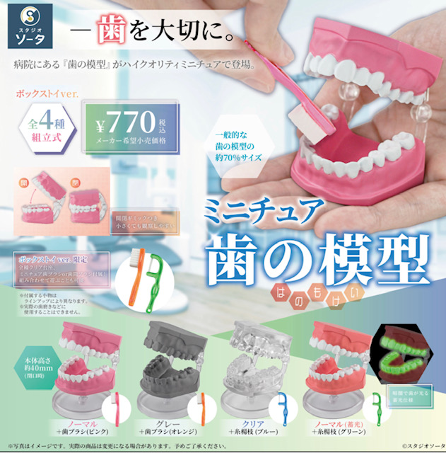 画像1: ＴＦＣ　ミニチュア歯の模型（１２月）【▽１ＢＯＸ４個入り　SO-TA】