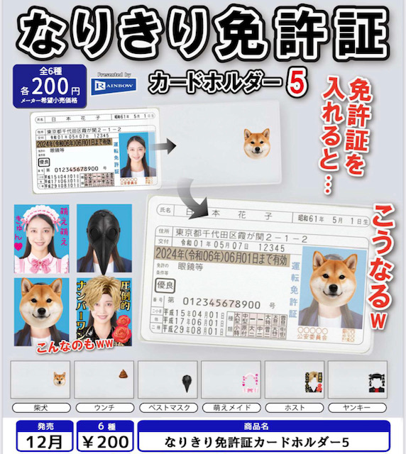 画像1: なりきり免許証カードホルダー5（１２月）【▽２００円カプセル　５０個入り　レインボー】＋正規台紙