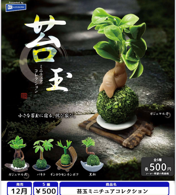画像1: 苔玉ミニチュアコレクション（１２月）【▽５００円カプセル　２０個入り　レインボー】＋正規台紙