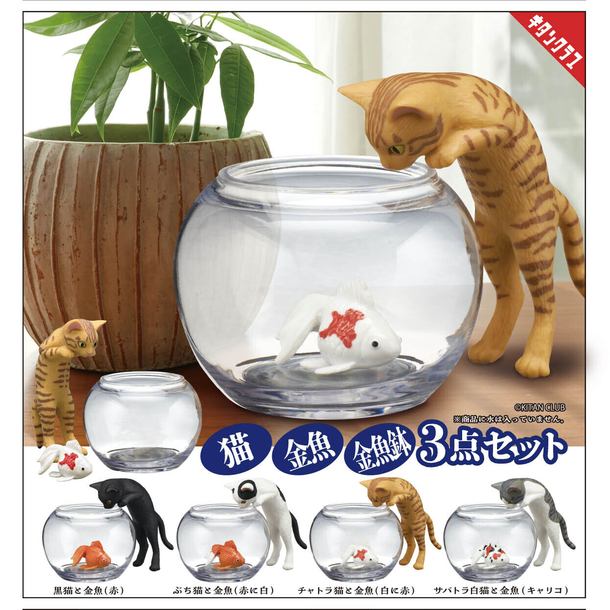 画像1: 猫と金魚（其ノ弐）（１２月）【▽５００円カプセル　２０個入り　キタンクラブ】＋正規台紙