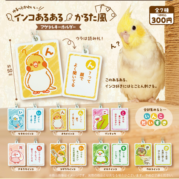 画像1: インコあるある かるた風アクリルキーホルダー（１２月）【▽３００円カプセル　４０個入り　funbox】＋正規台紙