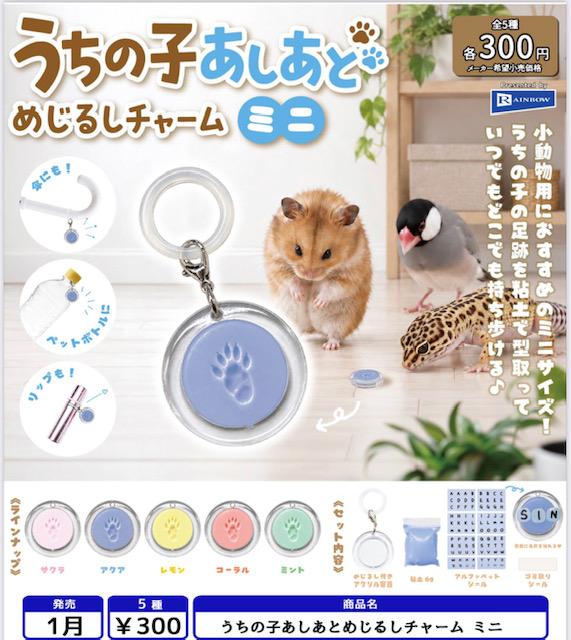画像1: うちの子あしあとめじるしチャーム ミニ（１月）【▼３００円カプセル ４０個入り レインボー】＋正規台紙
