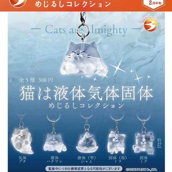 画像1: 猫は液体気体固体 めじるしコレクション（２月）【▼３００円カプセル ４０個入り ブライトリンク】＋正規台紙