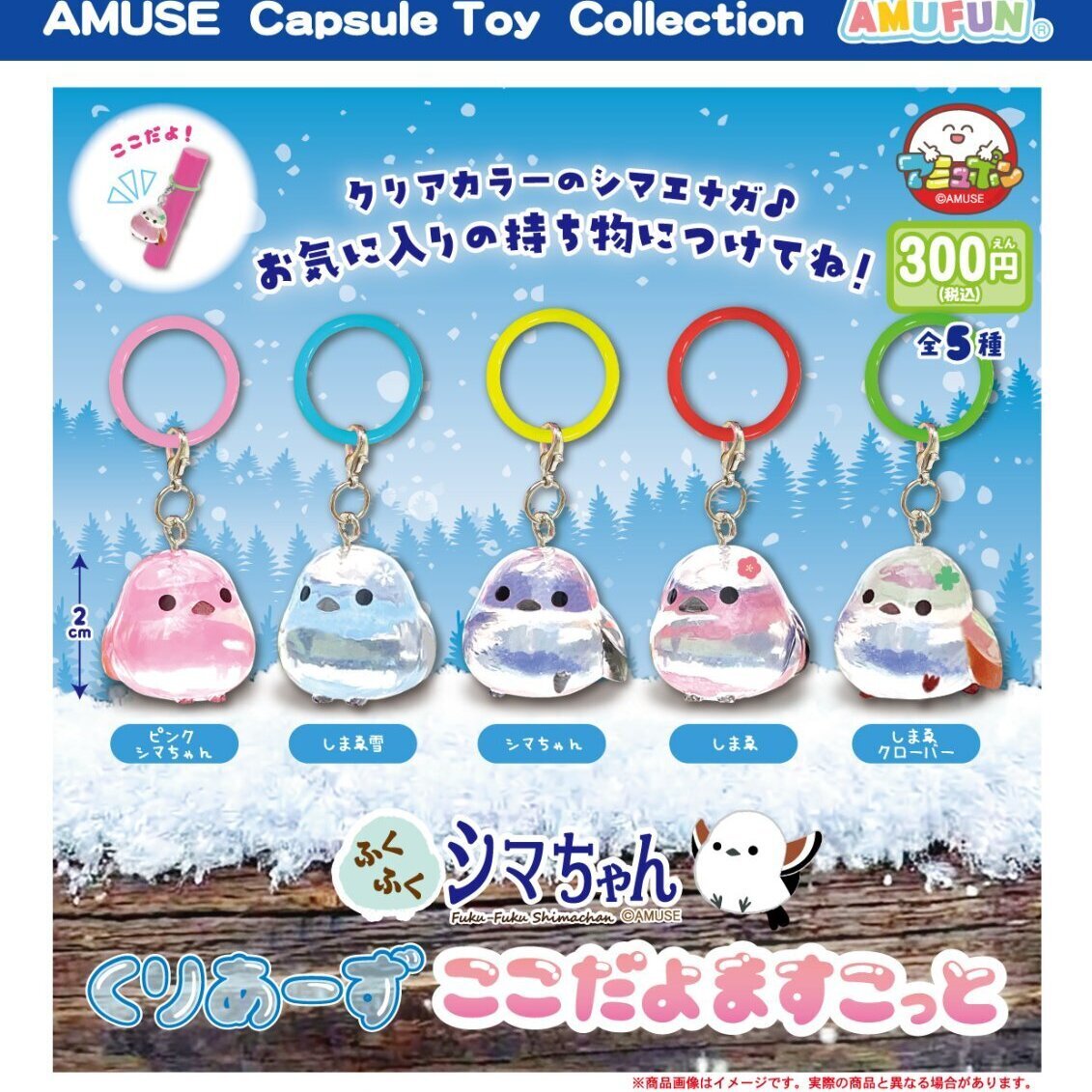 画像1: ふくふくシマちゃん　くりあーずここだよますこっと（２月）【〇300円カプセル 40個入り アミューズ】＋正規台紙
