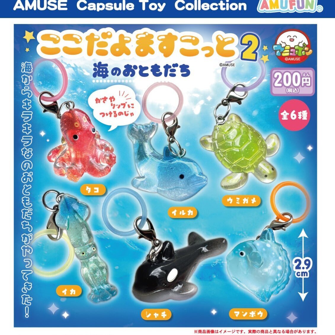 画像1: ここだよますこっと海のおともだち2（３月）【〇200円カプセル 50個入り アミューズ】＋正規台紙