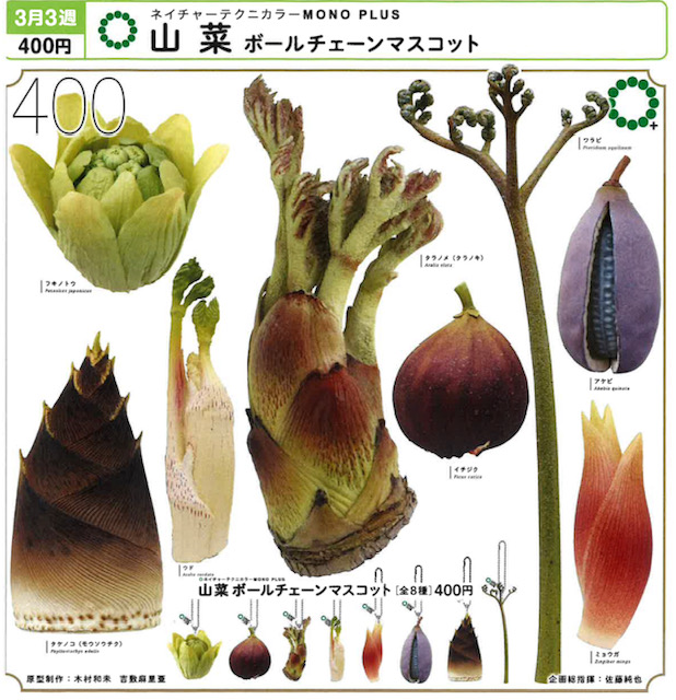 画像1: NTC MONO+ 山菜 ボールチェーンマスコット（３月）【〇400円カプセル 30個入り いきもん】＋正規台紙