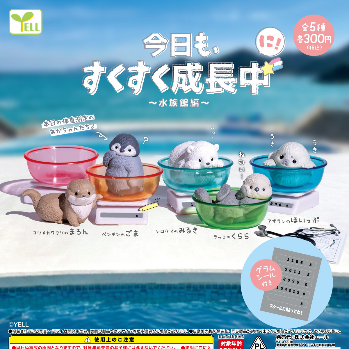画像1: 今日も、すくすく成長中 水族館編ーに！ー（２月）【〇300円カプセル 40個入り エール】＋正規台紙