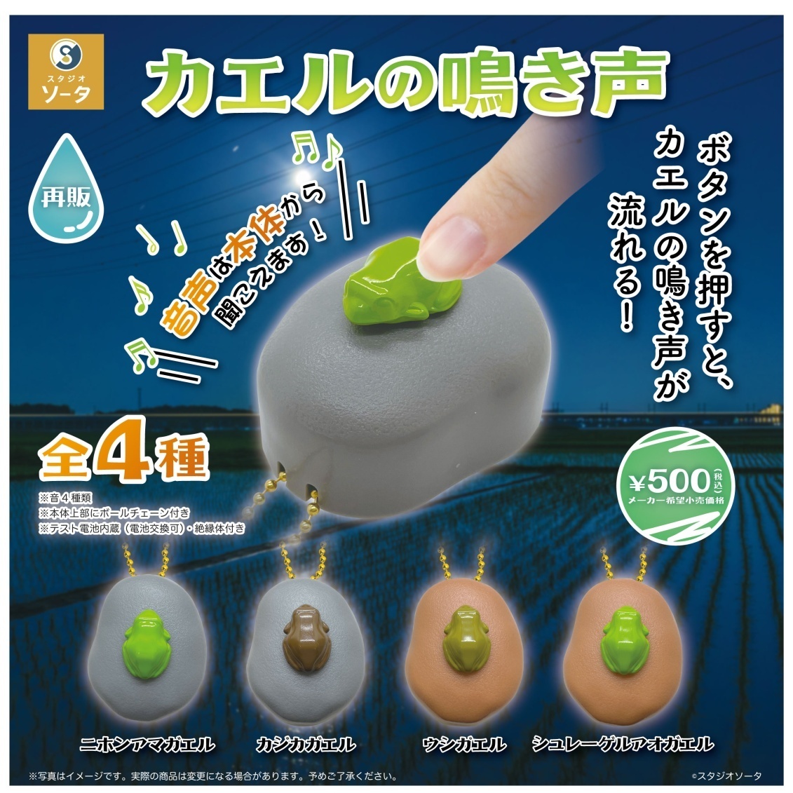 画像1: カエルの鳴き声【再販】（３月）【〇500円カプセル 20個入り スタジオソータ】＋正規台紙