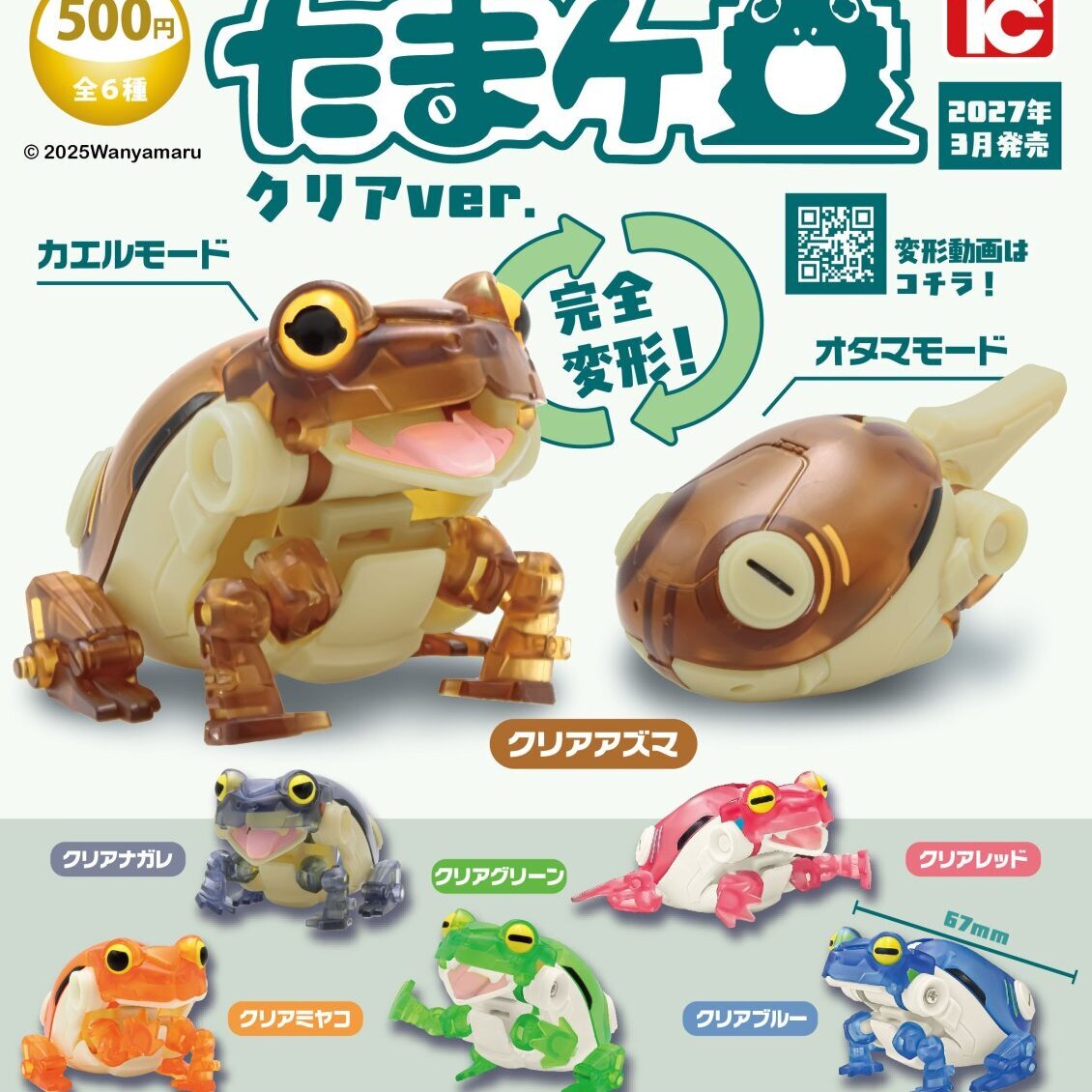 画像1: たまケロ クリアver.（３月）【〇500円カプセル 20個入り トイズキャビン】＋正規台紙