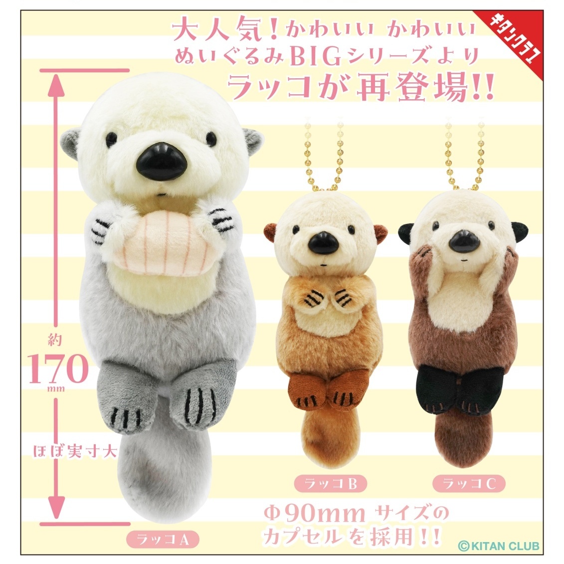 画像1: かわいい かわいい ぬいぐるみ BIG （ラッコ）【再販】（３月）【〇500円カプセル 20個入り キタンクラブ】＋正規台紙