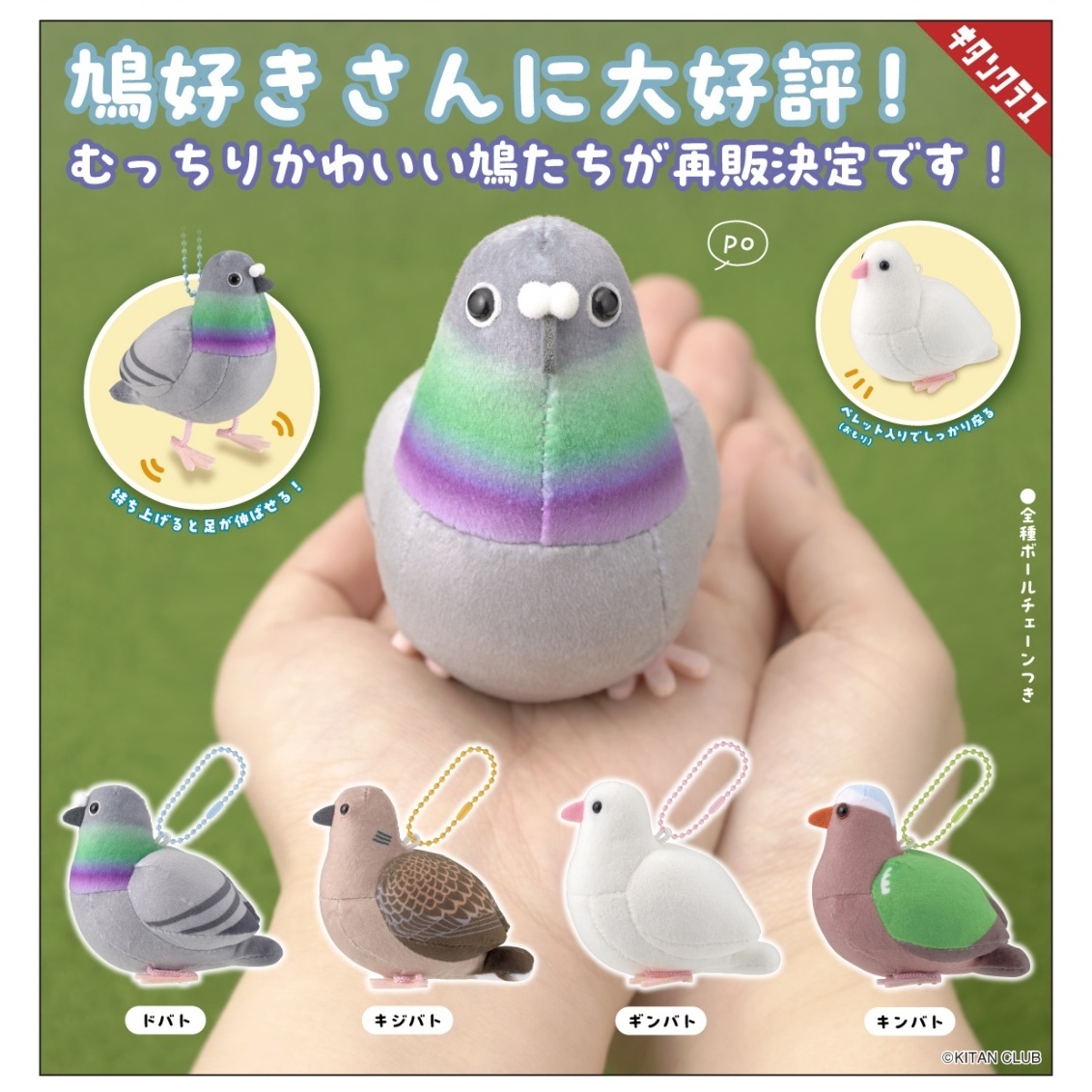 画像1: 鳩のぬいぐるみ【再販】（３月）【〇500円カプセル 20個入り キタンクラブ】＋正規台紙